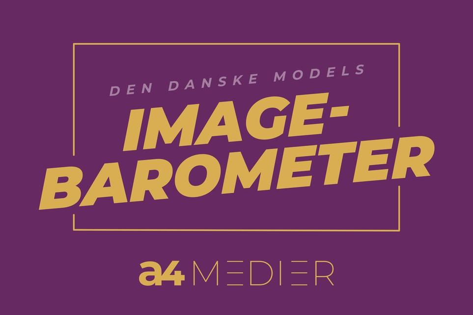 DDM_Imagebarometer_logo_